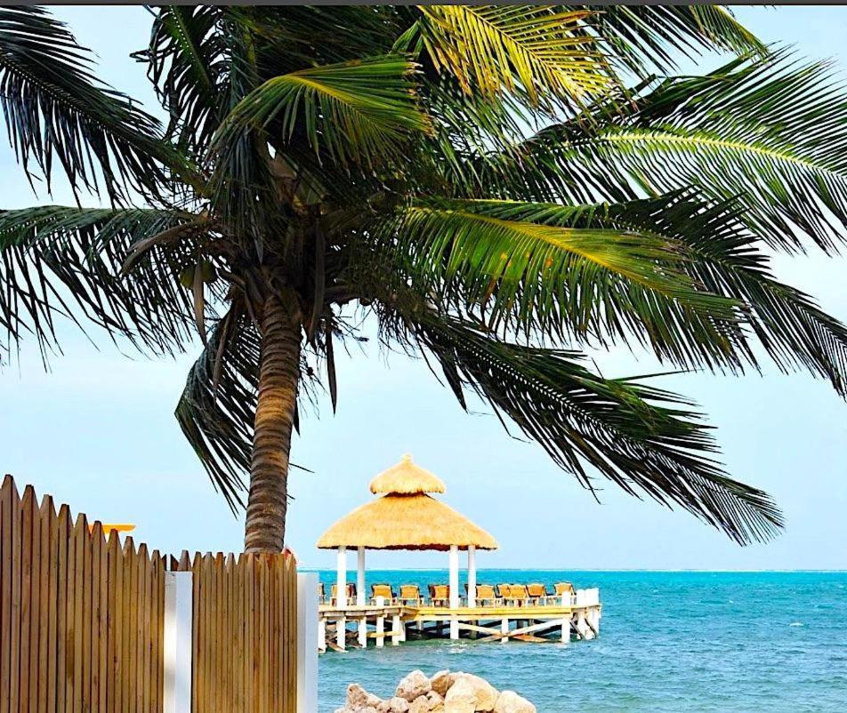 Velento Oceanfront #2 Villa Caye Caulker Exteriör bild